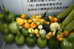 第十五屆昆明農博會開幕啦，快收下這份逛展攻略，周末約起！